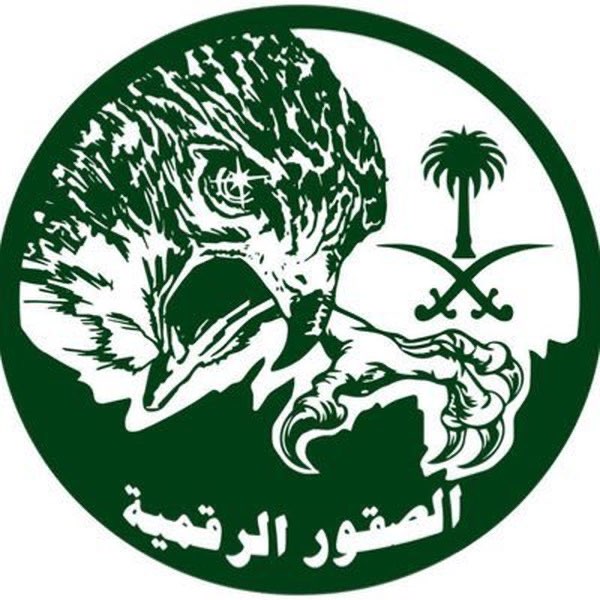 شرطي الخليج لا يكتب تغريدات:حين اختبرت الإمارات الخط الأحمر السعودي